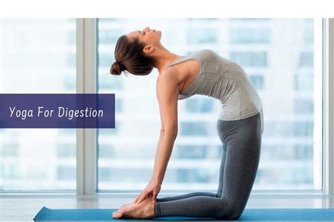 Best Yoga Poses For Digestive System
