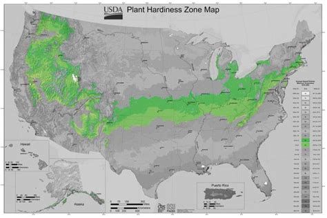 Usda Gardening Zone 6 Lovetoknow