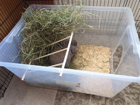 Diy Made A Litter Box With Integrated Hay Feeder Rrabbits