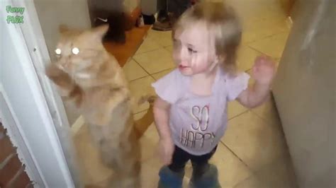 Funny Babies Laughing Hysterically At Cats One News Page Video