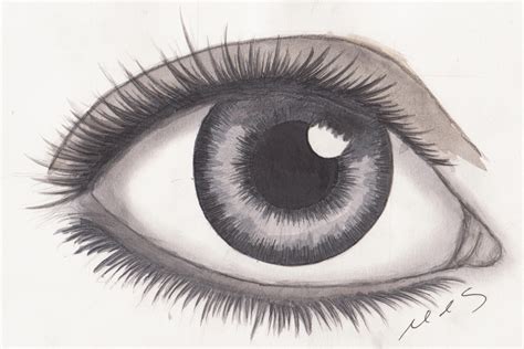 Realistic Eye Drawing By Mhylands On Deviantart