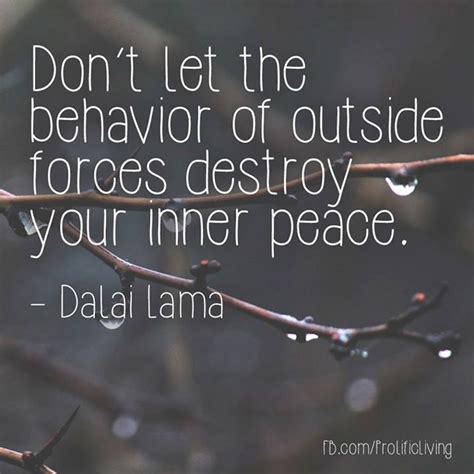 Protect Your Inner Peace From The Outside World And You Will Get Through Everything In Life