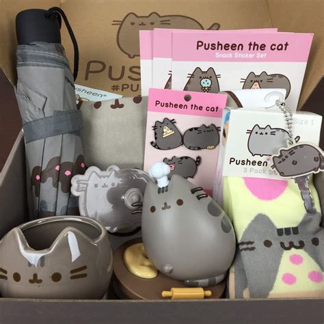 Change your life—and your cat's. Pusheen Box Spring 2016 Subscription Box Review - hello ...