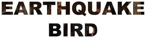 Earthquake Bird Movie Review The Kind Of Film Where The More You Think About It The Less Good