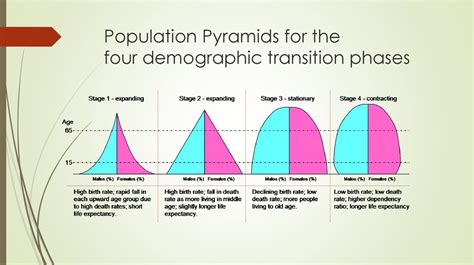 World Demography Natural And Mechanical Movement Of Population
