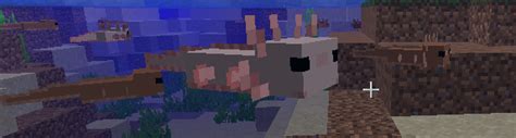 Axolotl And Axolotl In A Bu Mods Minecraft Curseforge