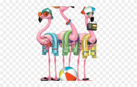 Download High Quality Flamingo Clipart Beach Transparent Png Images