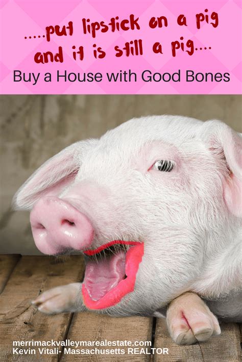 Is The House You Are Buying Just A Pig With Lipstick Real Estate