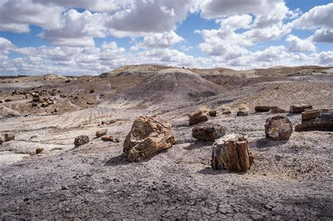 One Day In Petrified Forest National Park A Complete Guide — Uprooted