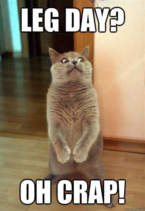Lolcats is the best place to find and submit funny cat memes and other silly cat materials to share with the world. Leg Day? Cat Meme - Cat Planet | Cat Planet