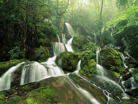 Timelapse Photography Of Waterfalls Inside Forest Hd Wallpaper