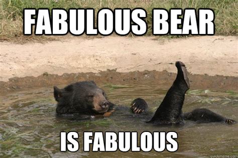 Fabulous Bear Memes Quickmeme