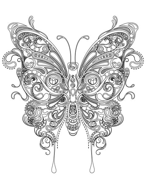 Detailed Butterfly Coloring Pages For Adults Download It And Color