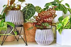 Grow Your Green Empire Craigslist Atlanta S Guide To Gardening For Profit