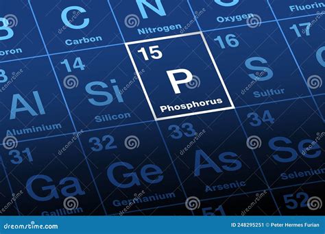 Phosphorus With Symbol P On The Periodic Table Of The Elements Stock