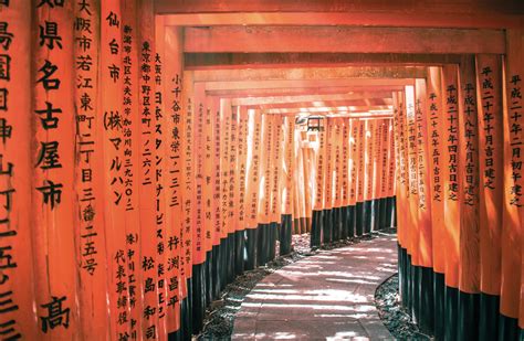 The Most Iconic Torii Gates In Japan You Need To See