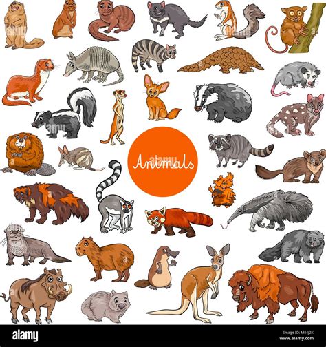 Cartoon Illustration Of Wild Mammals Animal Characters Big Set Stock