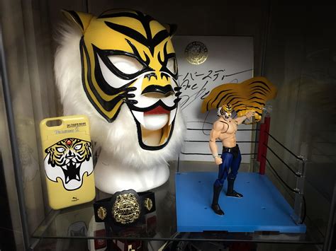 126 Best Tiger Mask Images On Pholder Squared Circle Njpw And The