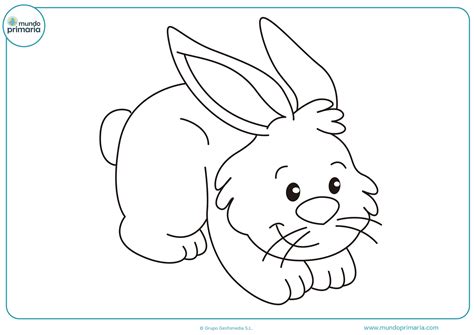 Imagenes De Conejos Animados Para Colorear Words Infect