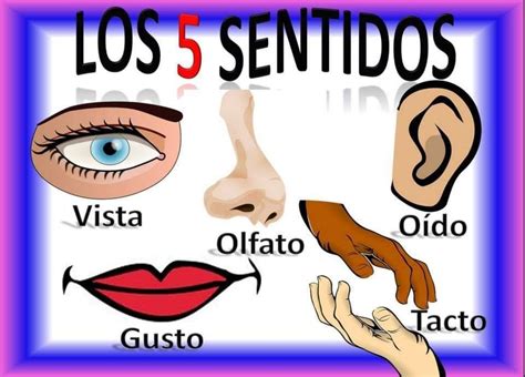 The Words Los 5 Sendidos Are In Front Of An Image Of A Womans Face