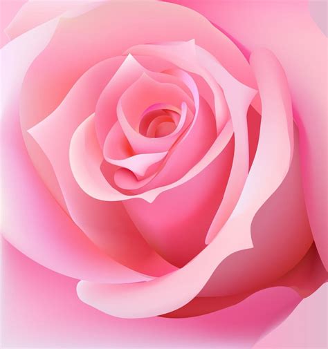Wallmonkeys Pink Rose Peel And Stick Wall Decals Wm195366 48 In H X 45