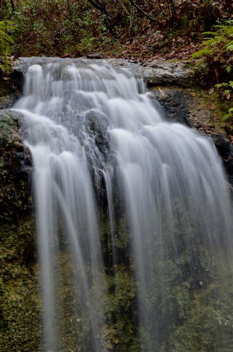 Falling Waters State Park Chipley Florida David Crockett Photography