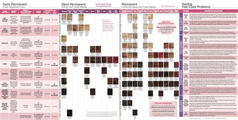 This article from lewigs discover everything you need to know about this color hue. Ion Color Brilliance Demi and Permanent Color Chart (With ...
