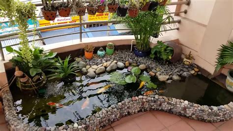 The Beautiful Mini Koi Fish Pond In The Balcony Hồ Cá Chép Nhật Nhỏ