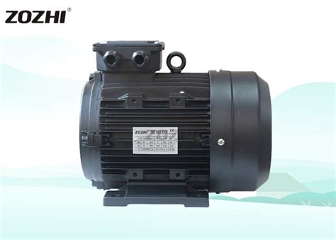 Electric Hollow Shaft Motor 24mm Female Hollow 3hp 1400rpm 230400v