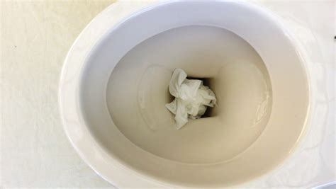 How To Unblock A Toilet Without A Plunger Pipe Relining Solutions