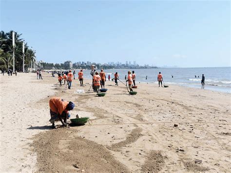 Juhu Beach 10k Tonnes Of Trash Cleared From Juhu Beach Since June