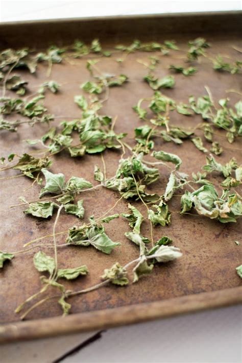 How To Dry Mint Leaves For Tea Brooklyn Farm Girl