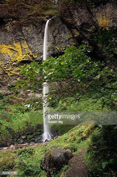 Elowah Falls Photos And Premium High Res Pictures Getty Images