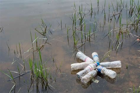 10 Rivers May Deliver Bulk Of Ocean Plastic
