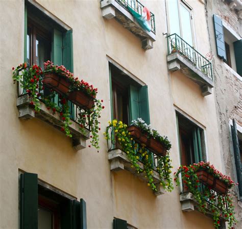 Window Flower Pots Of Venice Wandering Through Time And Place