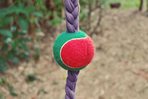 10 Easy To Make Diy Dog Toys Puppy Leaks