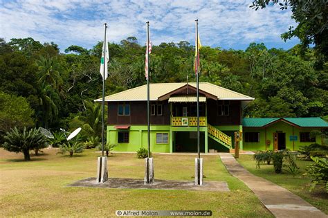 Photo Of Park Headquarters Building Rainforest Tanjung Datu National