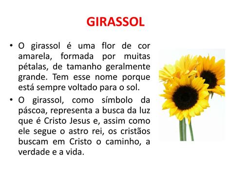 Girassol Simbolo Da Pascoa