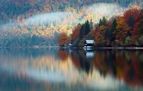 Wallpaper Autumn Forest Reflection Lake House Slovenia October