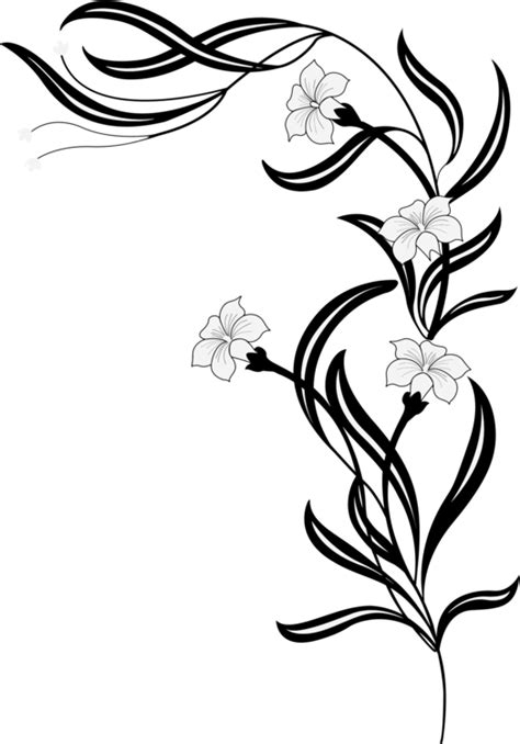 Artmonochrome Photographypetal Png Clipart Royalty Free Svg Png