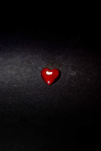 I love animals, cars and world of warcraft! Heart of Glass | EMP Black Blondie - Heart Of Glass Lyrics ...