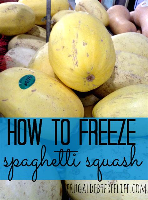 How To Freeze Spaghetti Squash — Frugal Debt Free Life
