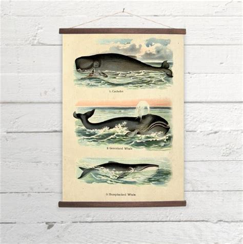 Vintage Whales Canvas Poster Print Wooden Wall Chart Size A3 Etsy