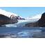 Visitors To A Shrinking Alaskan Glacier Get Lesson On Climate Change 