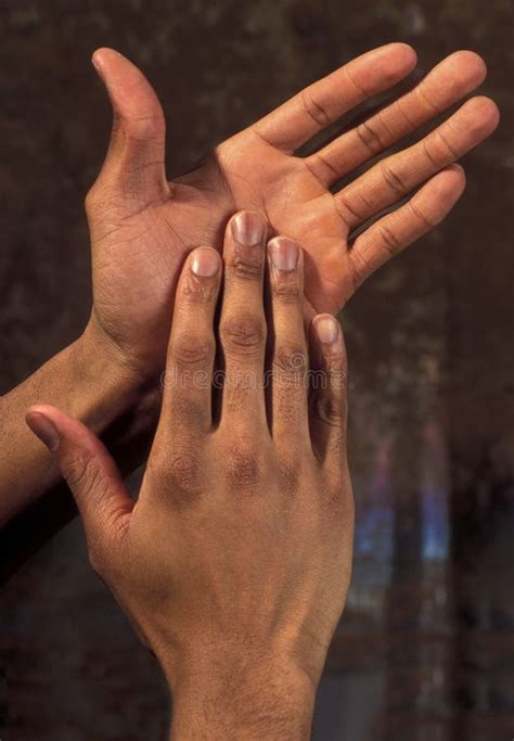 African American Hands Stock Image Image Of Ethnic Fingers 5552079