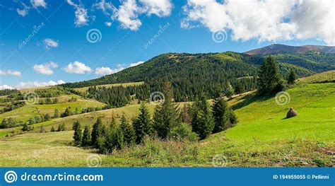 Rural Fields On Rolling Hills In Green Grass Stock Image Image Of