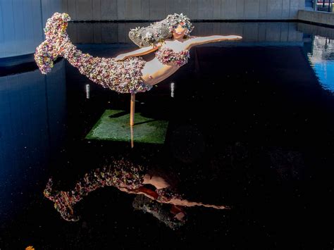 mermaid olympus digital camera kim elliott flickr