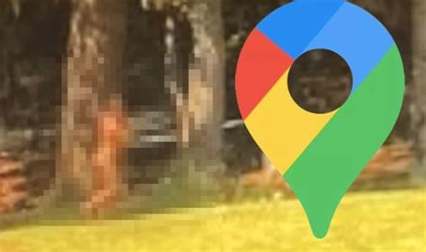 Google Maps Street View Users Spot Mysterious Naked Man Dubbed Big Foot Travel News