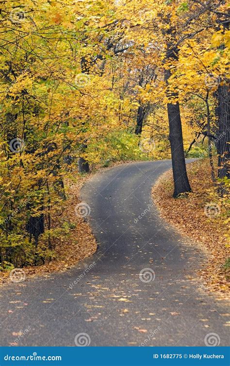 Uphill Winding Autumn Canopied Road Stock Image Image Of View Lane