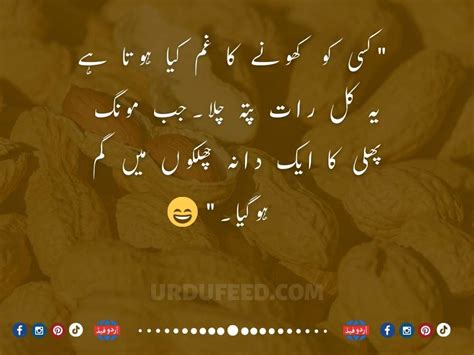 Funny Poetry In Urdu Urdu Funny Jokes With Images